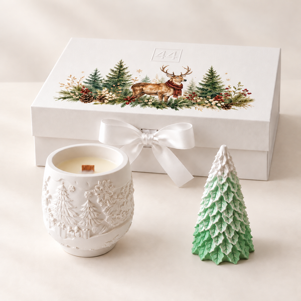 Coffret Pinheiro com vela em pote de cerâmica, pinheiro verde e caixa com laço branco, sobre fundo claro.